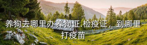 養(yǎng)狗去哪里辦養(yǎng)狗證.檢疫證，到哪里打疫苗