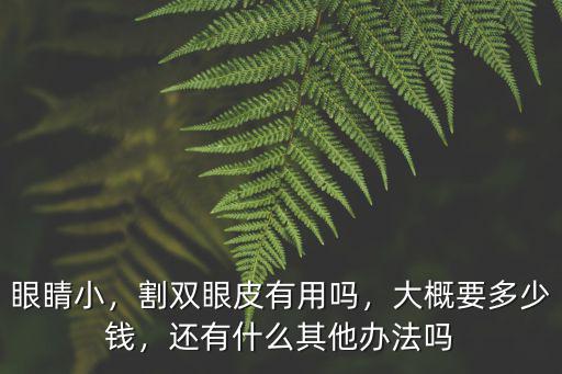 眼睛小，割雙眼皮有用嗎，大概要多少錢，還有什么其他辦法嗎