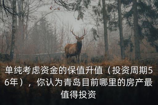 單純考慮資金的保值升值（投資周期56年），你認(rèn)為青島目前哪里的房產(chǎn)最值得投資