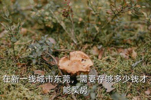 在新一線城市東莞，需要存夠多少錢才能買房