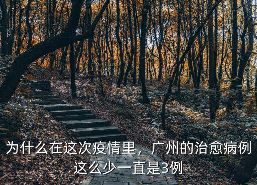 廣州增城肺炎病例多少例,廣州的治愈病例這么少