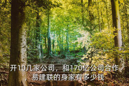 開(kāi)10幾家公司，和170億公司合作，易建聯(lián)的身家有多少錢(qián)