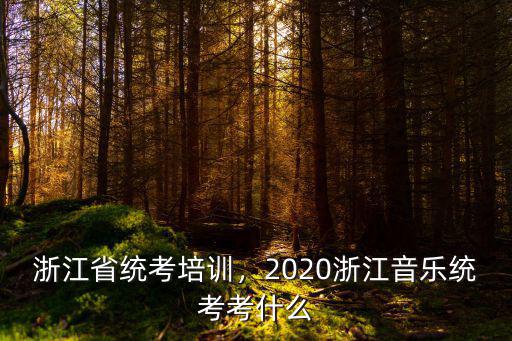 2019年浙江音樂統考有多少考生,2020浙江音樂統考會難嗎