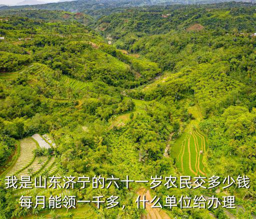 山東濟寧退休養老金每月交多少錢,山東企退老人