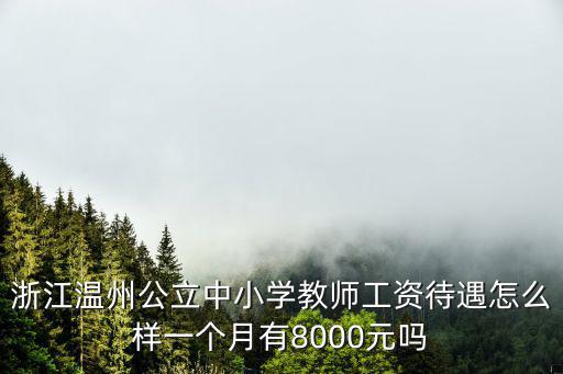 浙江溫州公立中小學教師工資待遇怎么樣一個月有8000元嗎
