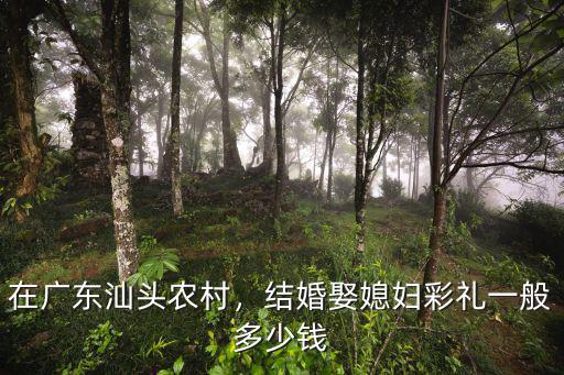 汕頭禮金給多少錢,潮汕結婚要花多少錢啊