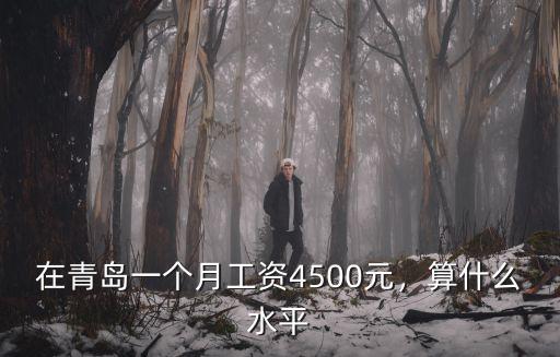 在青島一個月工資4500元，算什么水平