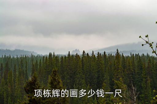 廣東畫一尺多少錢,項棟輝的畫多少錢一尺