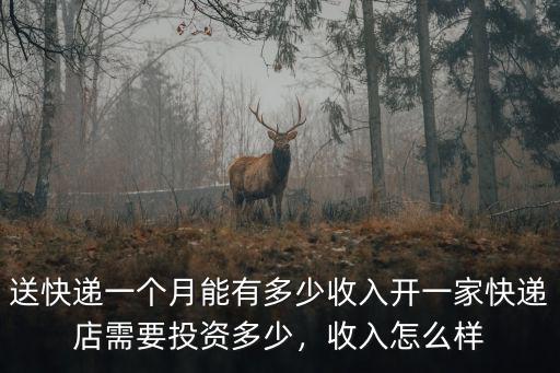 寧波送快遞多少一個月,送快遞一個月能有多少收入