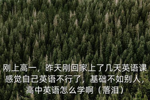 剛上高一，昨天剛回家上了幾天英語課感覺自己英語不行了，基礎(chǔ)不如別人，高中英語怎么學(xué)啊（落淚）