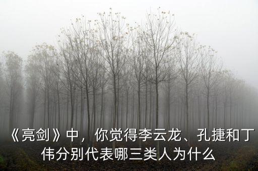 《亮劍》中，你覺得李云龍、孔捷和丁偉分別代表哪三類人為什么
