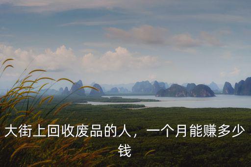 大街上回收廢品的人，一個月能賺多少錢