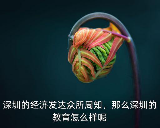 深圳的經(jīng)濟(jì)發(fā)達(dá)眾所周知，那么深圳的教育怎么樣呢