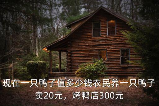 江門老鴨多少錢一只,農民養一只鴨子賣20元