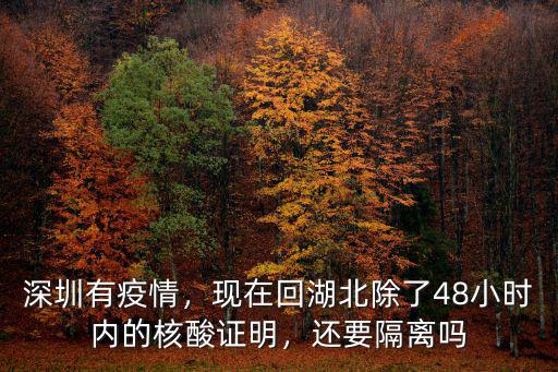 深圳有疫情，現(xiàn)在回湖北除了48小時內的核酸證明，還要隔離嗎