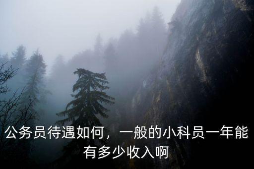 佛山公務員科員年薪多少,佛山正科級公務員年薪多少