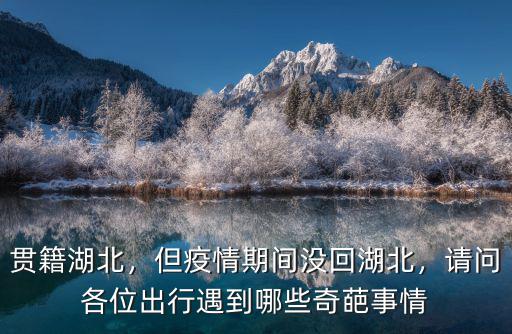 貫籍湖北，但疫情期間沒回湖北，請問各位出行遇到哪些奇葩事情