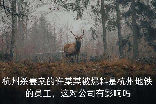杭州殺妻案的許某某被爆料是杭州地鐵的員工，這對公司有影響嗎
