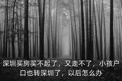 深圳買房不給戶口怎么辦手續,小孩戶口也轉深圳了