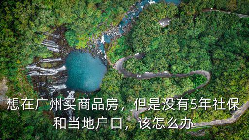 想在廣州買商品房，但是沒有5年社保和當(dāng)?shù)貞艨冢撛趺崔k