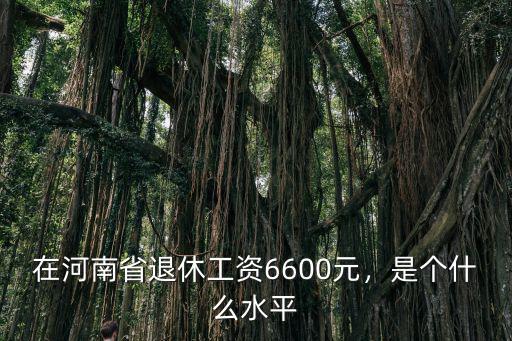 浙江和河南退休工資是多少錢一個月,在河南省退休工資6600元