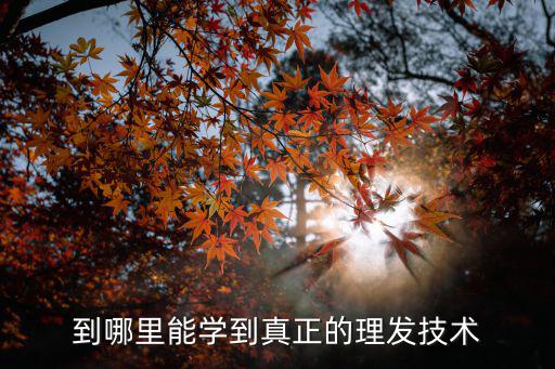 到哪里能學到真正的理發技術