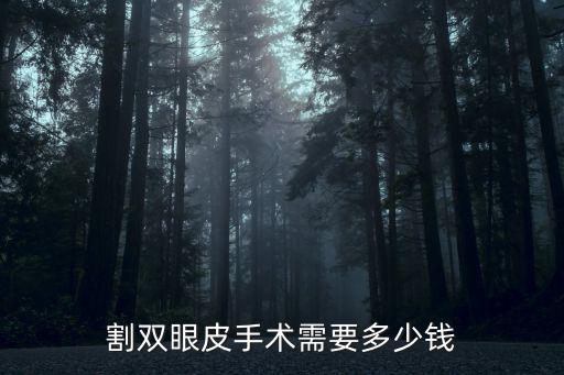 割雙眼皮手術(shù)需要多少錢(qián)
