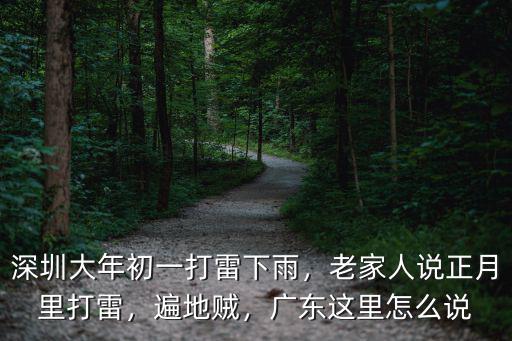深圳大年初一打雷下雨，老家人說正月里打雷，遍地賊，廣東這里怎么說