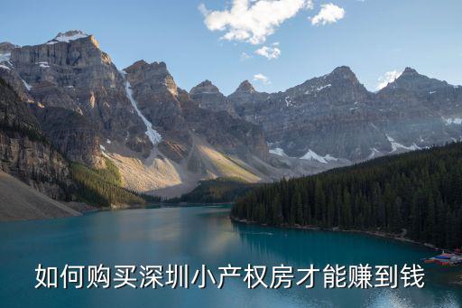 在深圳羅湖怎么樣才能賺到錢,你們覺得在深圳賺多少錢