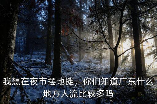 惠州夜市擺攤在哪里,夜市擺攤什么最好賣