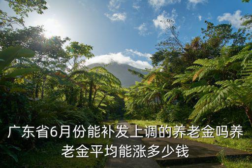 廣東省6月份能補發上調的養老金嗎養老金平均能漲多少錢