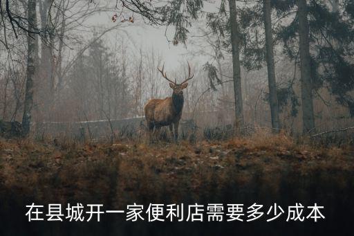 在佛山開無人超市需要多少成本,開一家無人超市