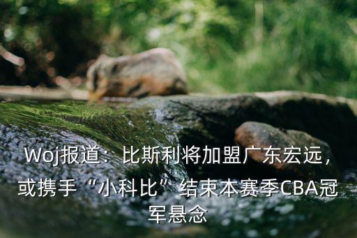 Woj報(bào)道：比斯利將加盟廣東宏遠(yuǎn)，或攜手“小科比”結(jié)束本賽季CBA冠軍懸念