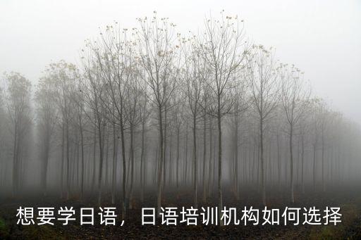 清遠市陽山縣哪里有日語學習,哪里有專業日語學習學校