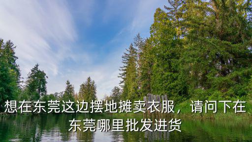 東莞名牌包包拿貨在哪里拿,在廣州去哪買名牌包包合適