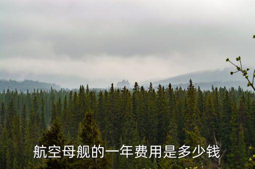 航空母艦的一年費用是多少錢