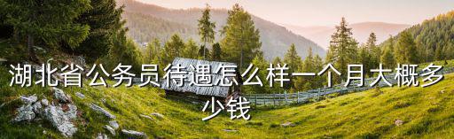 湖北省公務員待遇怎么樣一個月大概多少錢