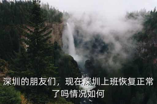 深圳的朋友們，現(xiàn)在深圳上班恢復正常了嗎情況如何