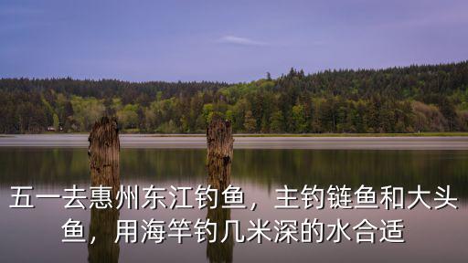 五一去惠州東江釣魚，主釣鏈魚和大頭魚，用海竿釣幾米深的水合適