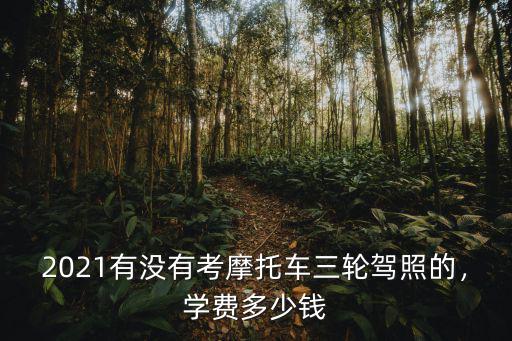 2021有沒有考摩托車三輪駕照的，學費多少錢