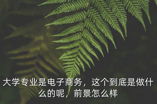 廣州商學院電子商務專業怎么樣,大學專業是電子商務
