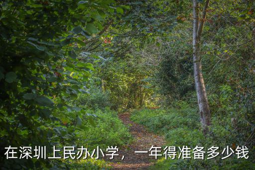 在深圳上民辦小學，一年得準備多少錢