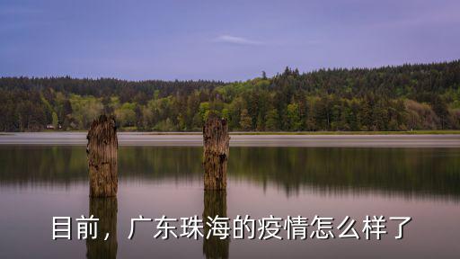 廣東最近怎么樣了,威姆斯和廣東最近怎么了