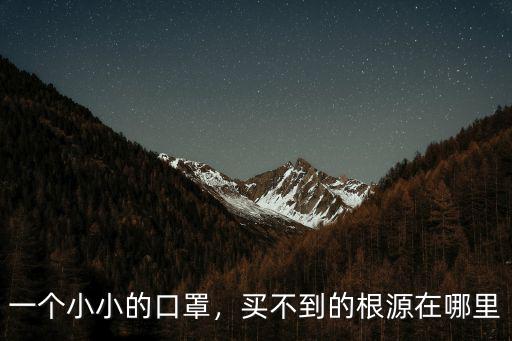 一個小小的口罩，買不到的根源在哪里