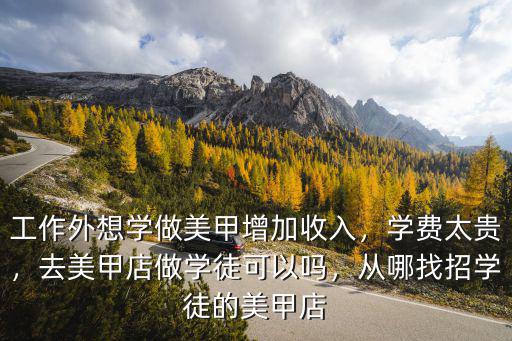 工作外想學做美甲增加收入，學費太貴，去美甲店做學徒可以嗎，從哪找招學徒的美甲店
