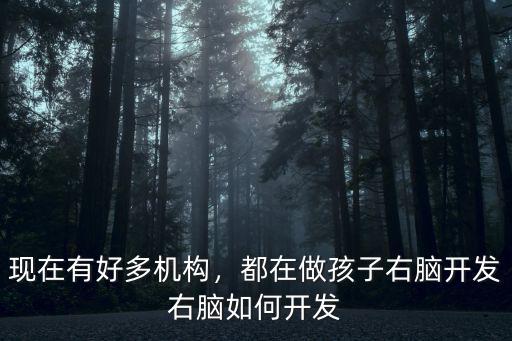 現在有好多機構，都在做孩子右腦開發右腦如何開發