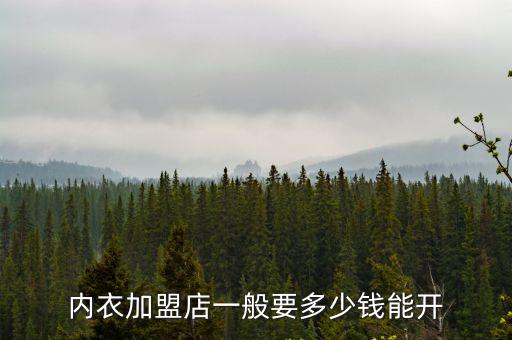 內衣加盟店一般要多少錢能開