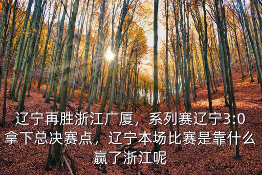 遼寧再勝浙江廣廈，系列賽遼寧3:0拿下總決賽點，遼寧本場比賽是靠什么贏了浙江呢