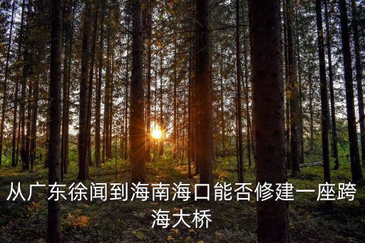 從廣東徐聞到海南海口能否修建一座跨海大橋