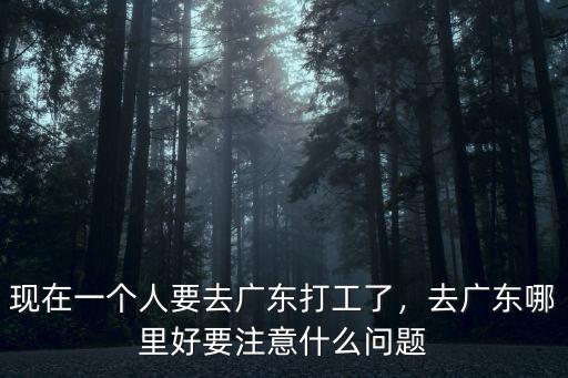 一個人怎么去廣東打工,現在一個人要去廣東打工了